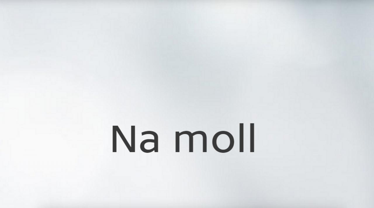 Na moll... / 03.01.2025, 03:15