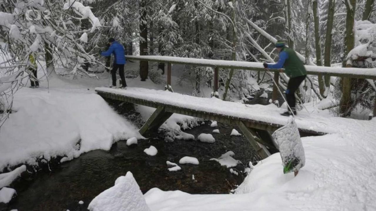 Bežkopotulky (Bežkopotulky: Krušné hory) / 11.01.2025, 08:30